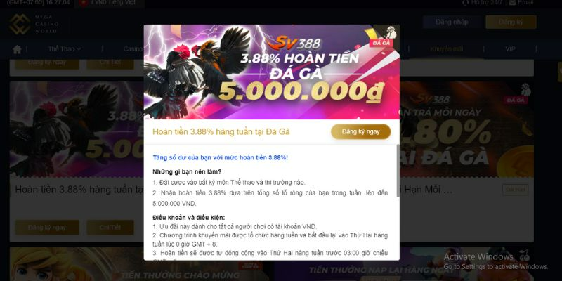 Các bước cơ bản để chơi đá gà online